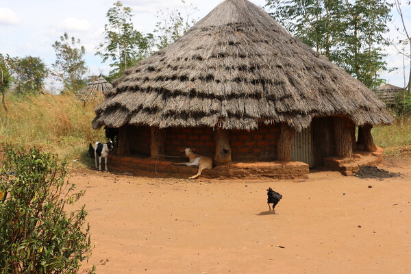 Pollanen village Uganda