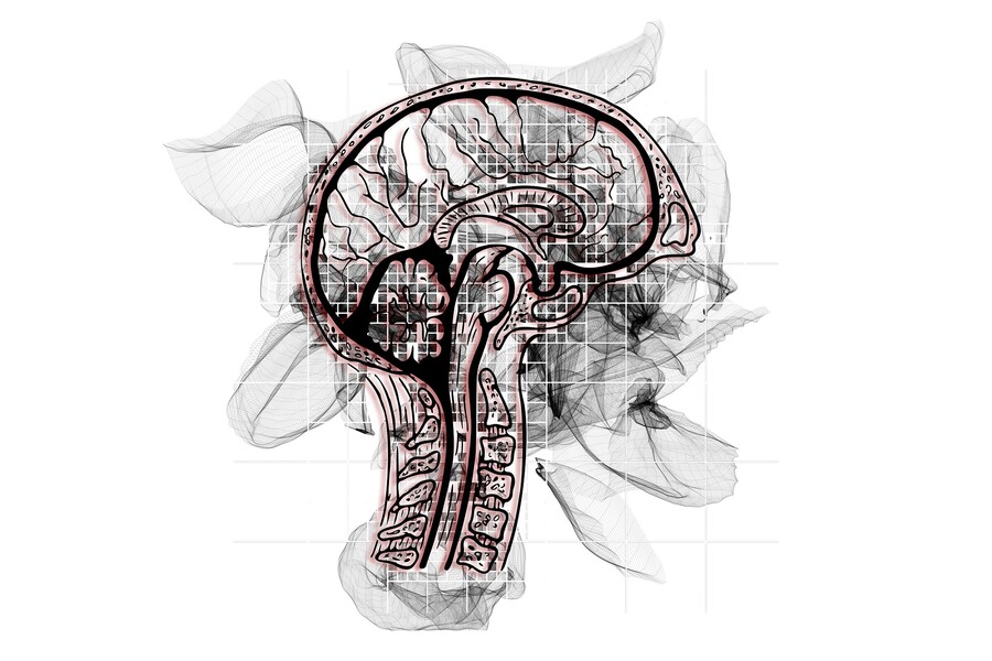 illustration of skeleton with brain