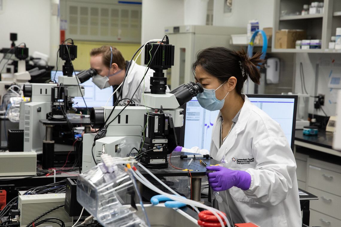 researchers in the lab